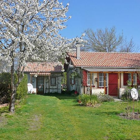 Guesthouse La Burle Parentis-en-Born Værelse billede
