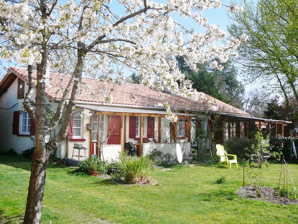 Guesthouse La Burle Parentis-en-Born Værelse billede