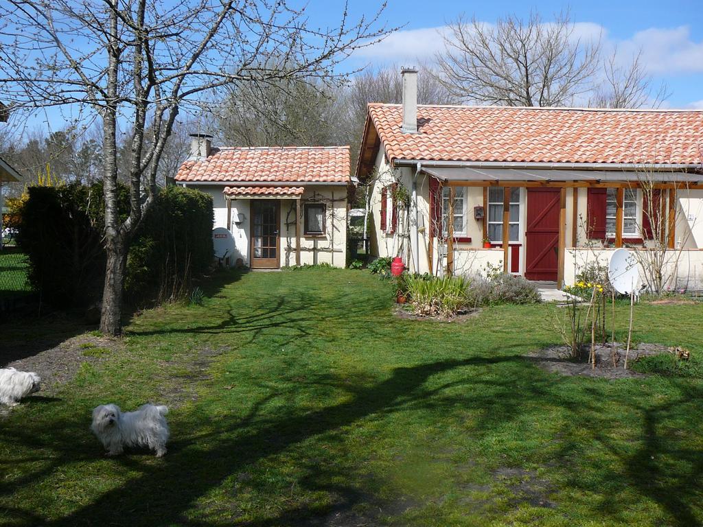 Guesthouse La Burle Parentis-en-Born Værelse billede
